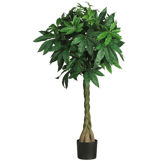 4ft. Potted Braided Money Tree